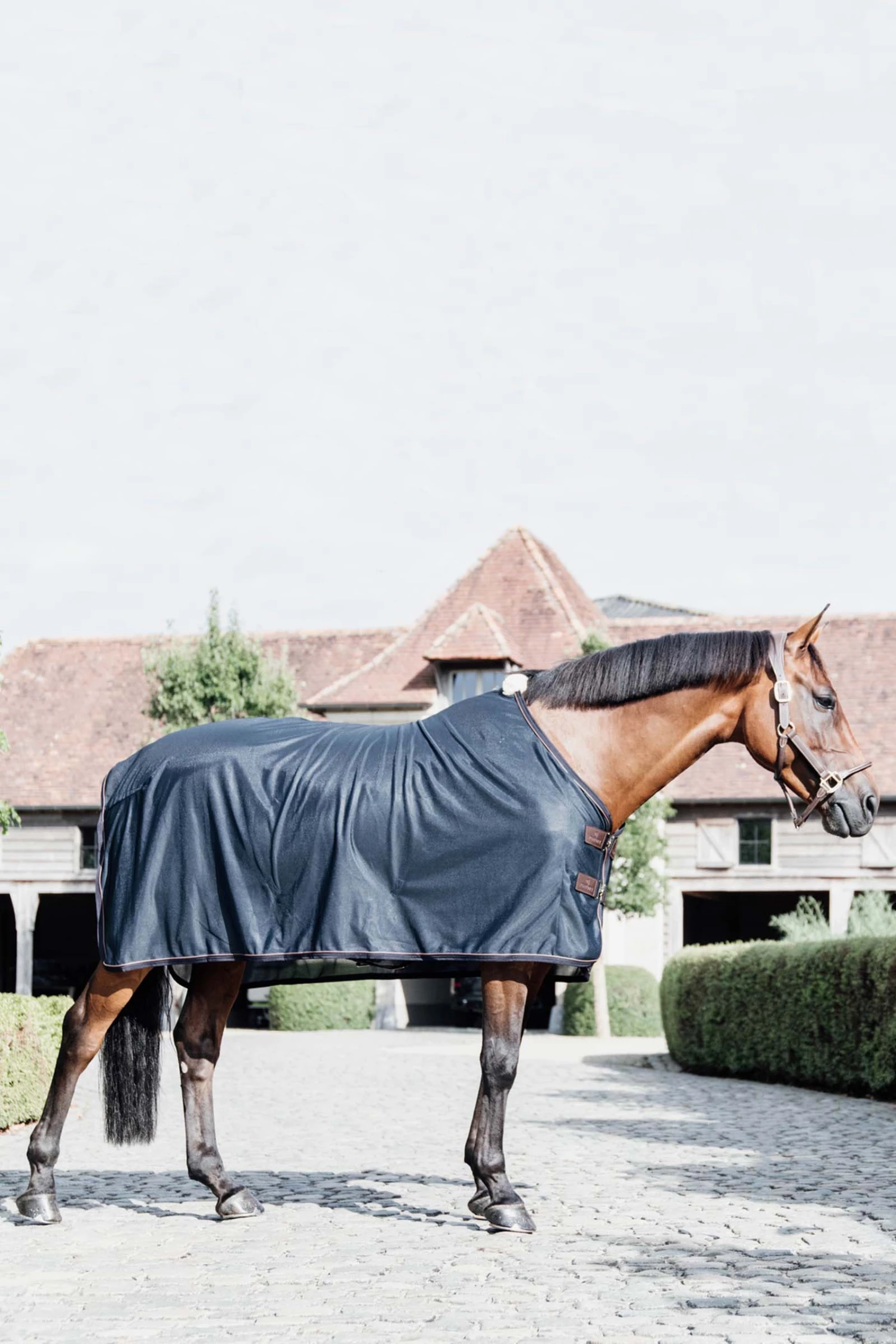 Kentucky Horsewear Mesh Fliegendecke 4 Kentucky Horsewear Mesh Fliegendecke – Bild 2