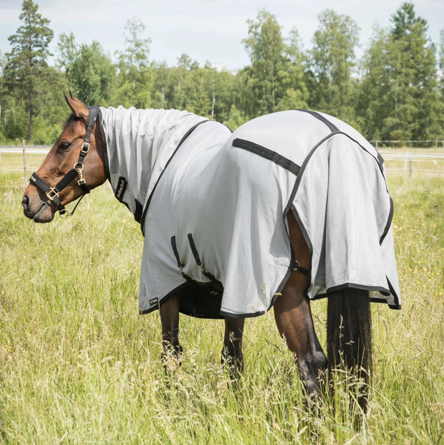 Back On Track Butzer Fliegendecke Mit Halsteil 5 Back On Track Butzer Fliegendecke Mit Halsteil – Bild 3