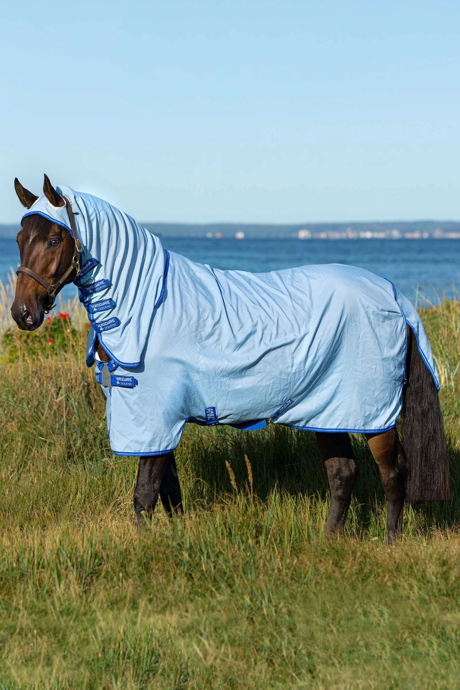 Horseware Amigo Hoody Exzemer Decke Mit Festem Halsteil 3 Horseware Amigo Hoody Exzemer Decke Mit Festem Halsteil
