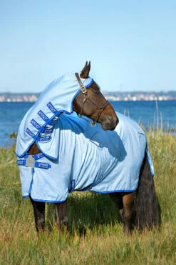 Horseware Amigo Hoody Exzemer Decke Mit Festem Halsteil 12 Horseware Amigo Hoody Exzemer Decke Mit Festem Halsteil -Weatherbeeta Shop 334223 ABB SGB SI 2