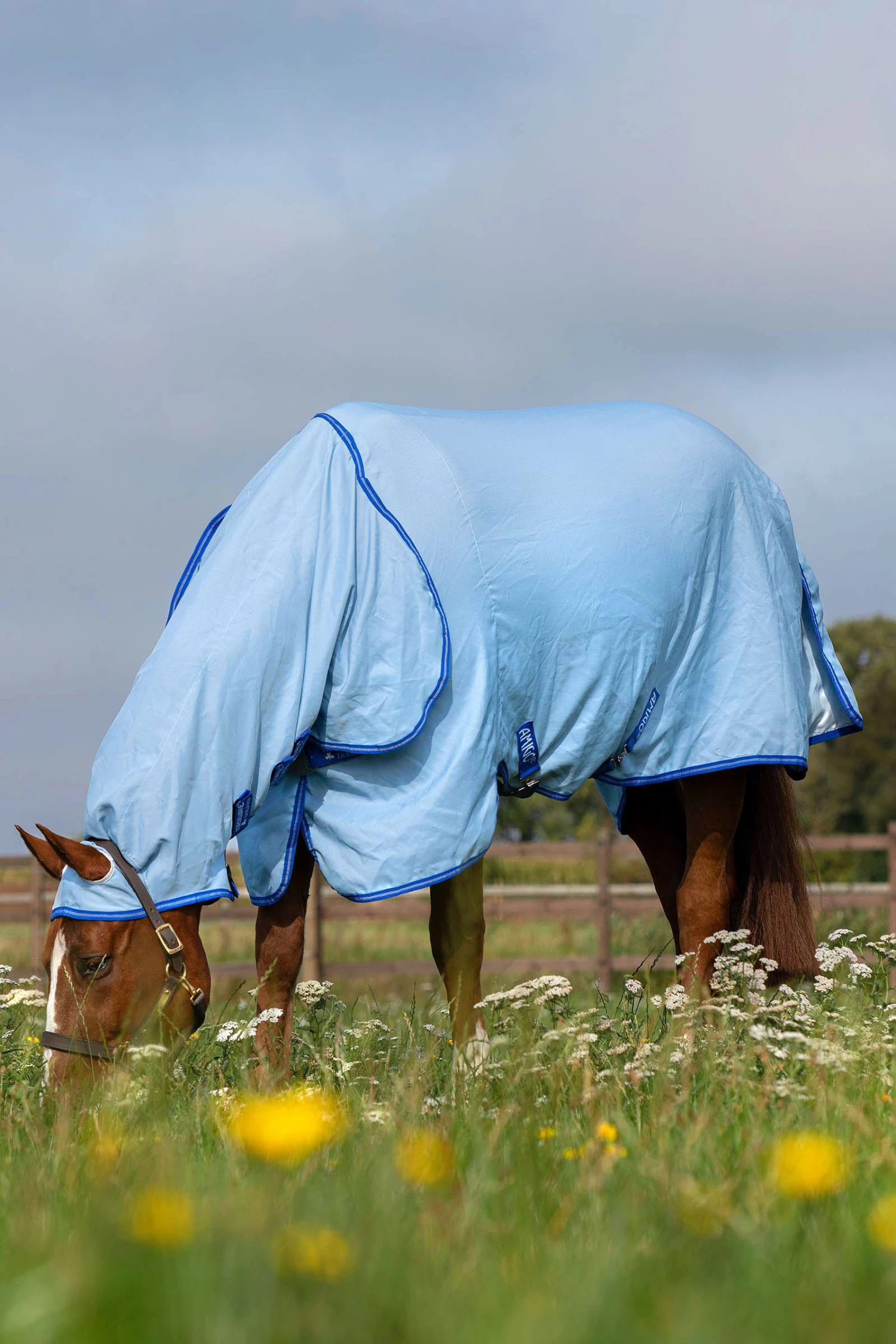 Horseware Amigo Hoody Exzemer Decke Mit Festem Halsteil 6 Horseware Amigo Hoody Exzemer Decke Mit Festem Halsteil – Bild 4