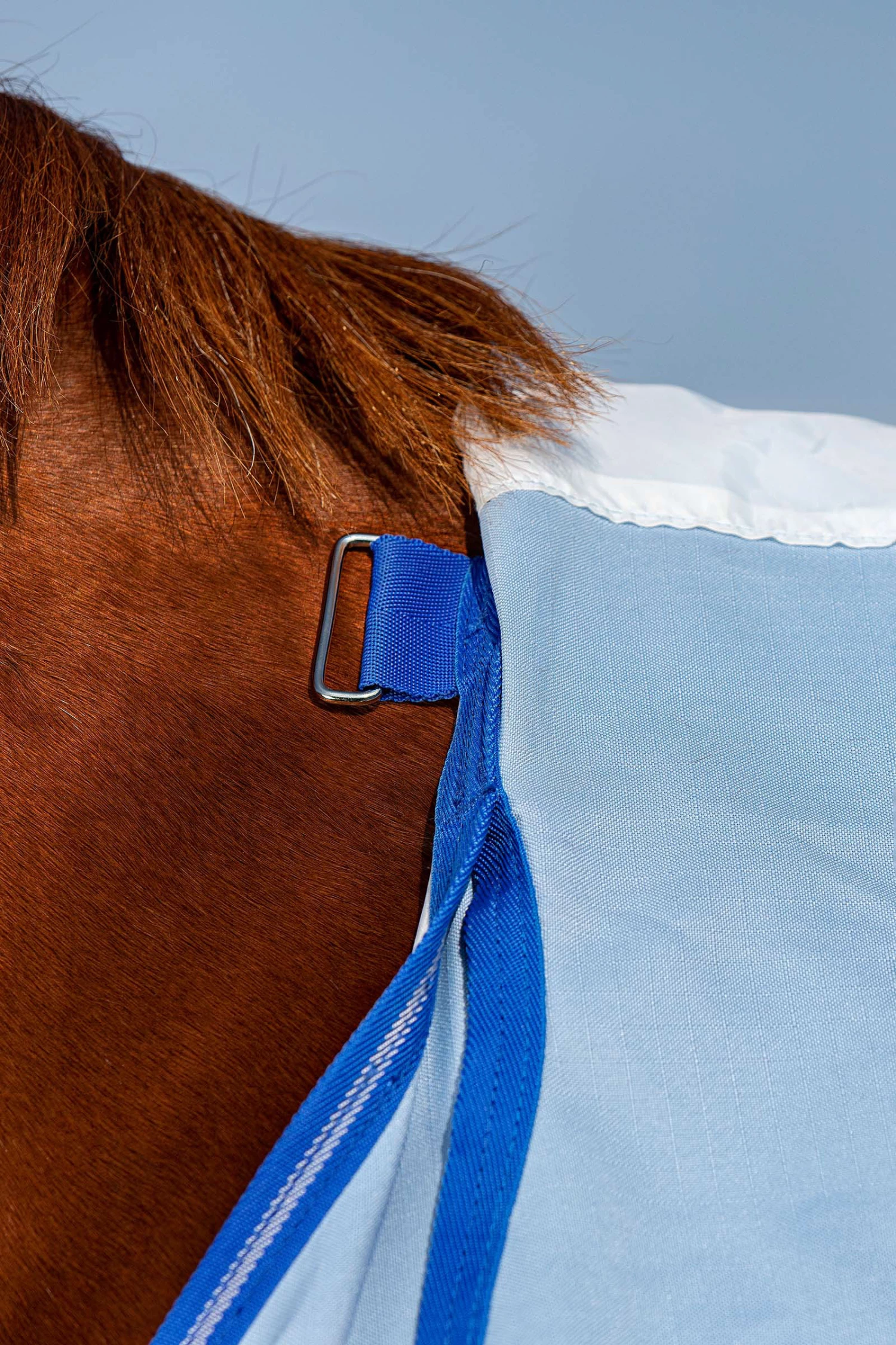 Horseware Amigo Hoody Exzemer Decke Mit Festem Halsteil 11 Horseware Amigo Hoody Exzemer Decke Mit Festem Halsteil – Bild 9