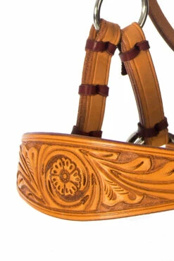 F.R.A. Diego Gebisslose Trense -Weatherbeeta Shop 334265 NAT 9