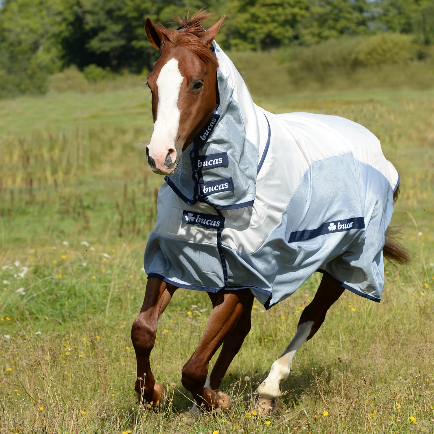Bucas Buzz-Off Rain Regen-Fliegendecke Mit Abnehmbarem Halsteil 4 Bucas Buzz-Off Rain Regen-Fliegendecke Mit Abnehmbarem Halsteil – Bild 2