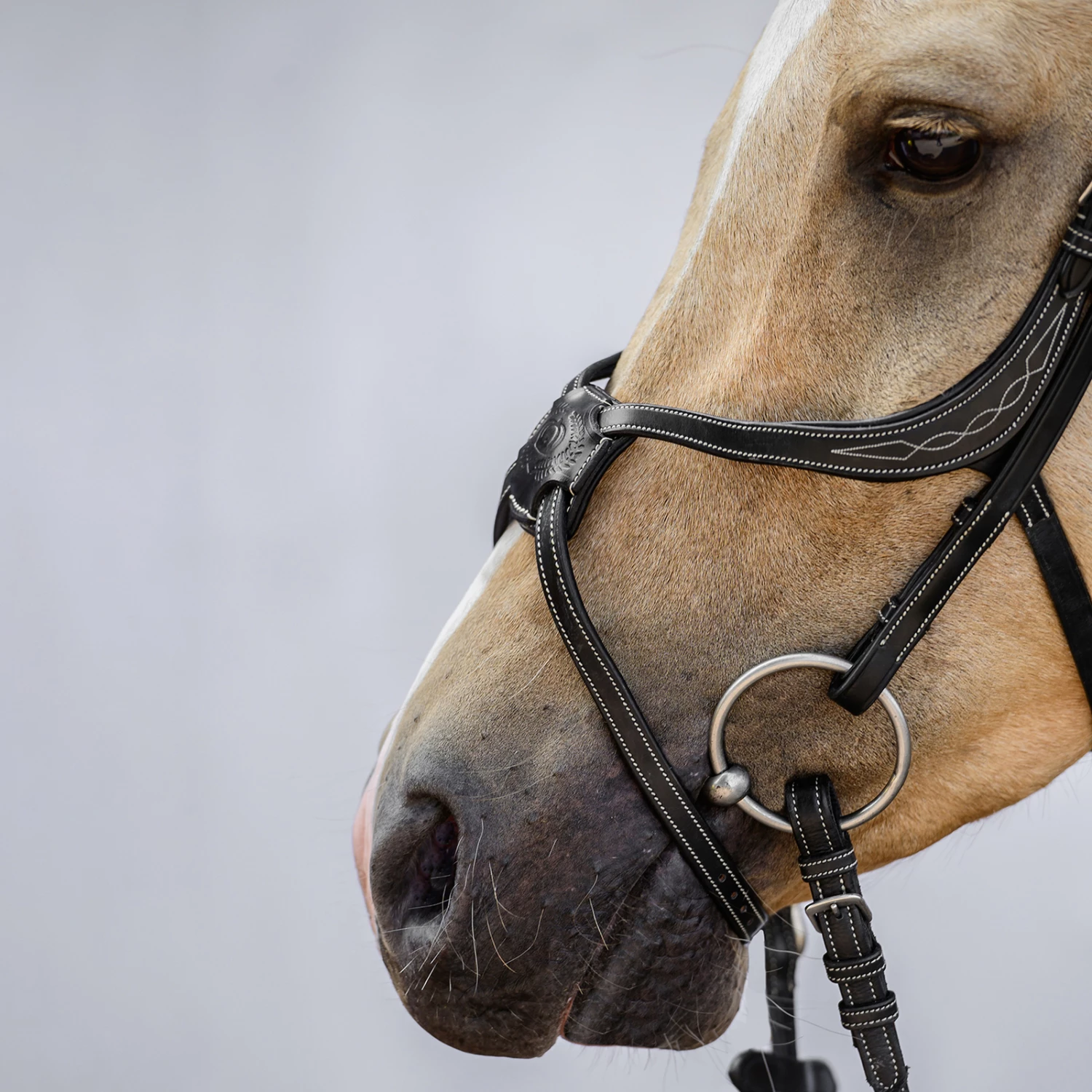 PS Of Sweden Athens Mexikanische Trense 4 PS Of Sweden Athens Mexikanische Trense – Bild 2