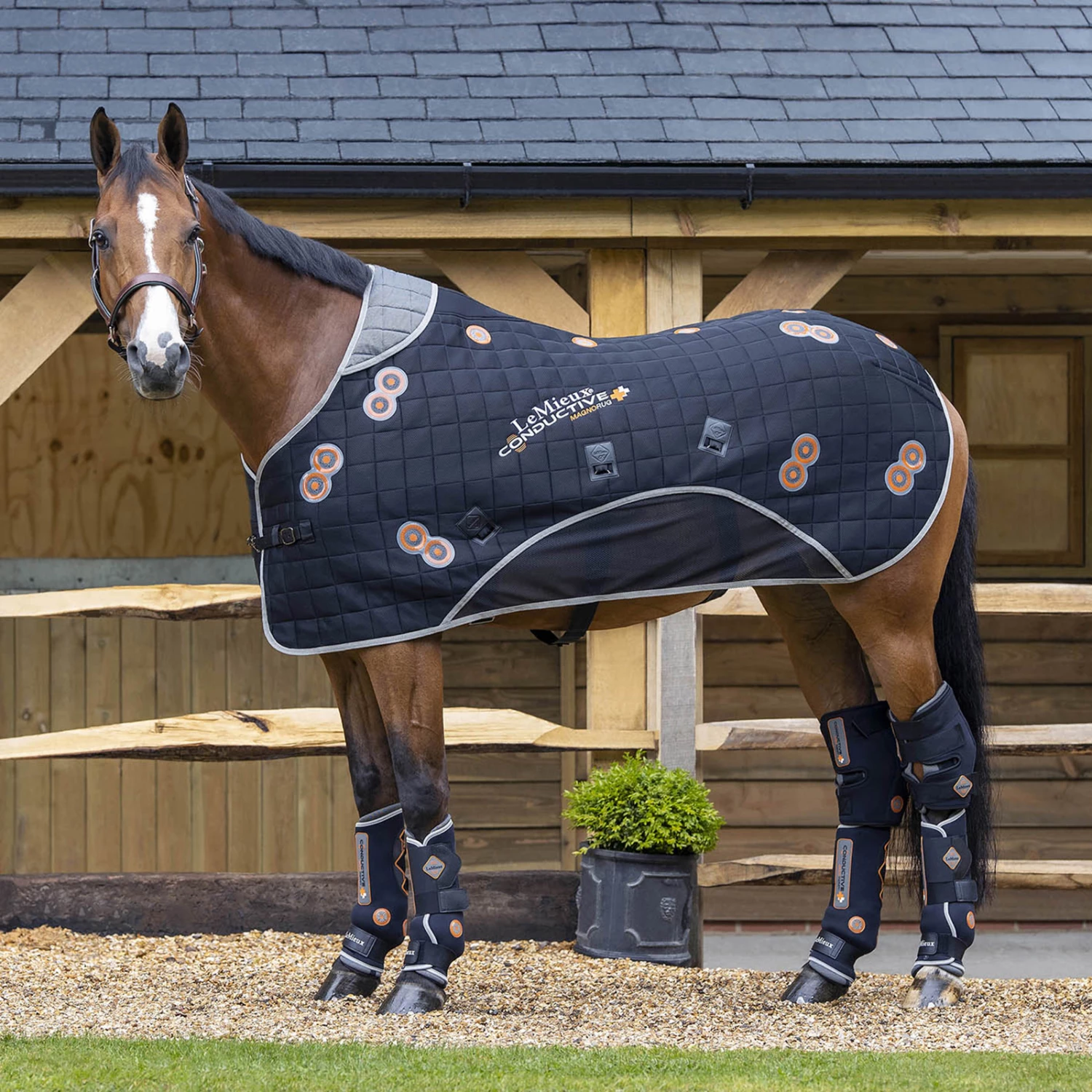 LeMieux Conductive MagnoRug Magnetfelddecke 4 LeMieux Conductive MagnoRug Magnetfelddecke – Bild 2