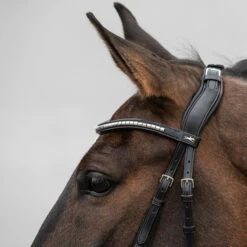 Schockemöhle Equitus Rho Genickstück 9 Schockemöhle Equitus Rho Genickstück -Weatherbeeta Shop 335287 BL SI 3