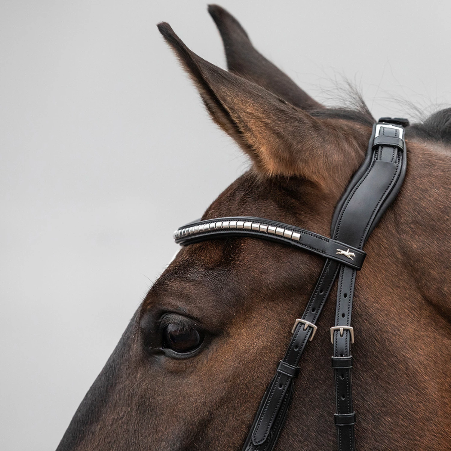 Schockemöhle Equitus Rho Genickstück 5 Schockemöhle Equitus Rho Genickstück – Bild 3