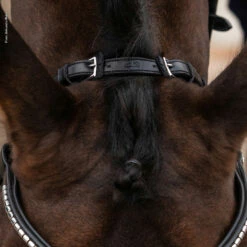 Schockemöhle Equitus Rho Genickstück 10 Schockemöhle Equitus Rho Genickstück -Weatherbeeta Shop 335287 BL SI 4