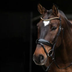 Schockemöhle Stanton Select Trense 7 Schockemöhle Stanton Select Trense -Weatherbeeta Shop 335292 PBL OR SI 2