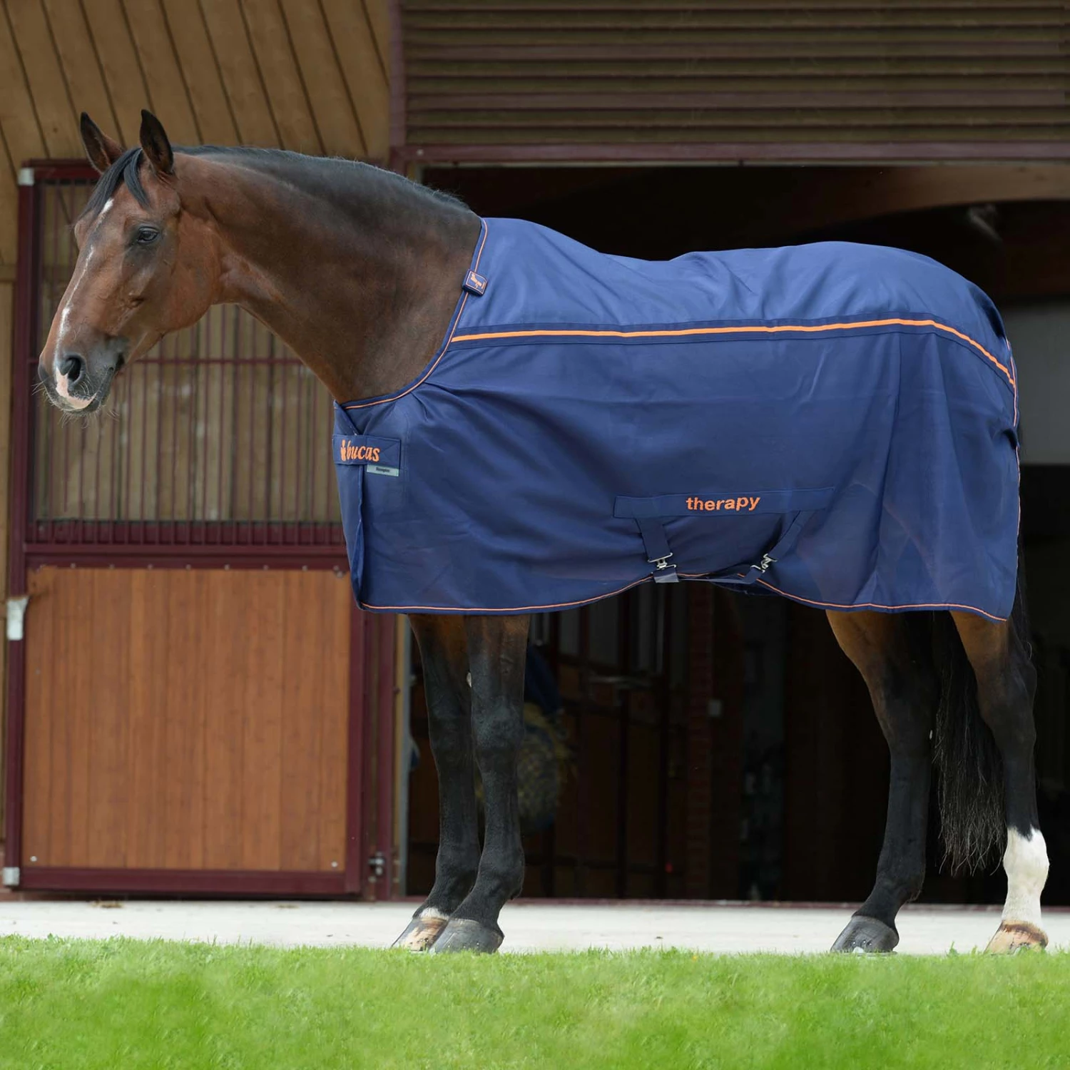 Bucas Therapy Mesh Cooler Abschwitzdecke 3 Bucas Therapy Mesh Cooler Abschwitzdecke