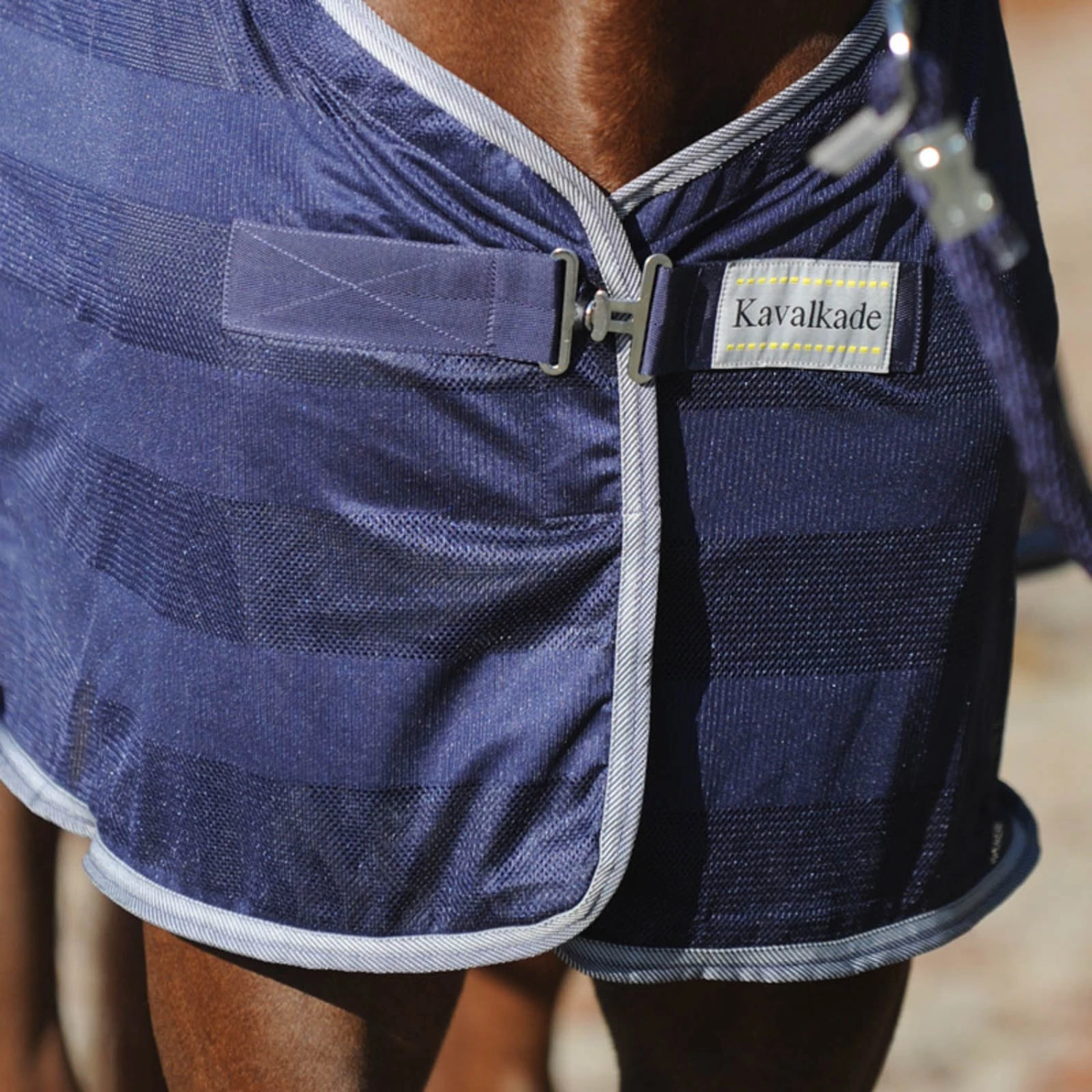 Kavalkade Stripe Fliegendecke 4 Kavalkade Stripe Fliegendecke – Bild 2