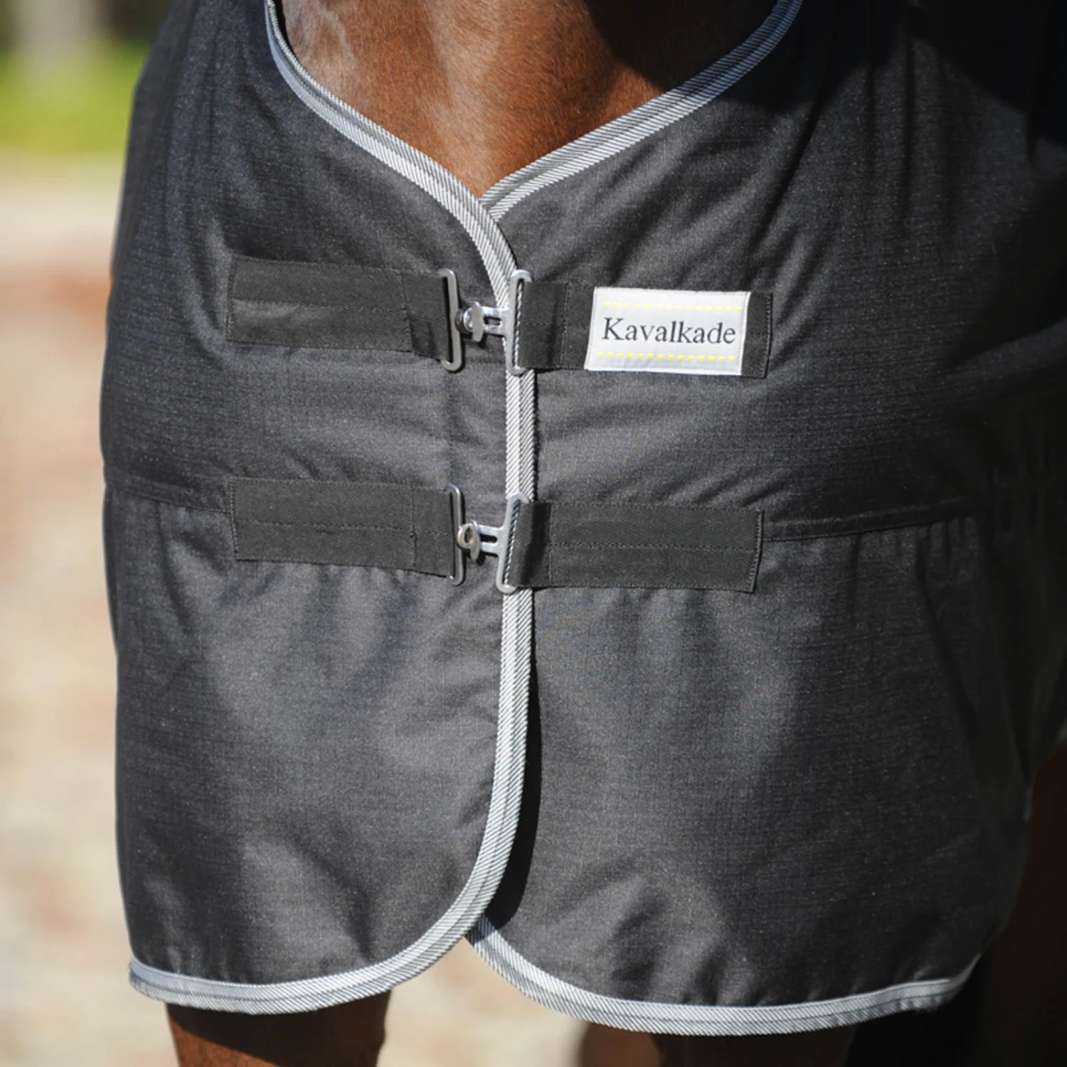 Kavalkade Winnipeg Weidedecke, 50g 4 Kavalkade Winnipeg Weidedecke, 50g – Bild 2