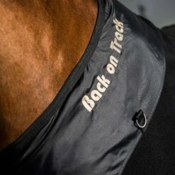 Back On Track Supreme Fleecedecke -Weatherbeeta Shop 335876 BL 3