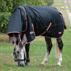 Weatherbeeta Comfitec Premier Therapy-Tec Therapiedecke Inkl Abnehmbarem Halsteil, 220g 5 Weatherbeeta Comfitec Premier Therapy-Tec Therapiedecke Inkl Abnehmbarem Halsteil, 220g -Weatherbeeta Shop 335963 BL SI RE 2