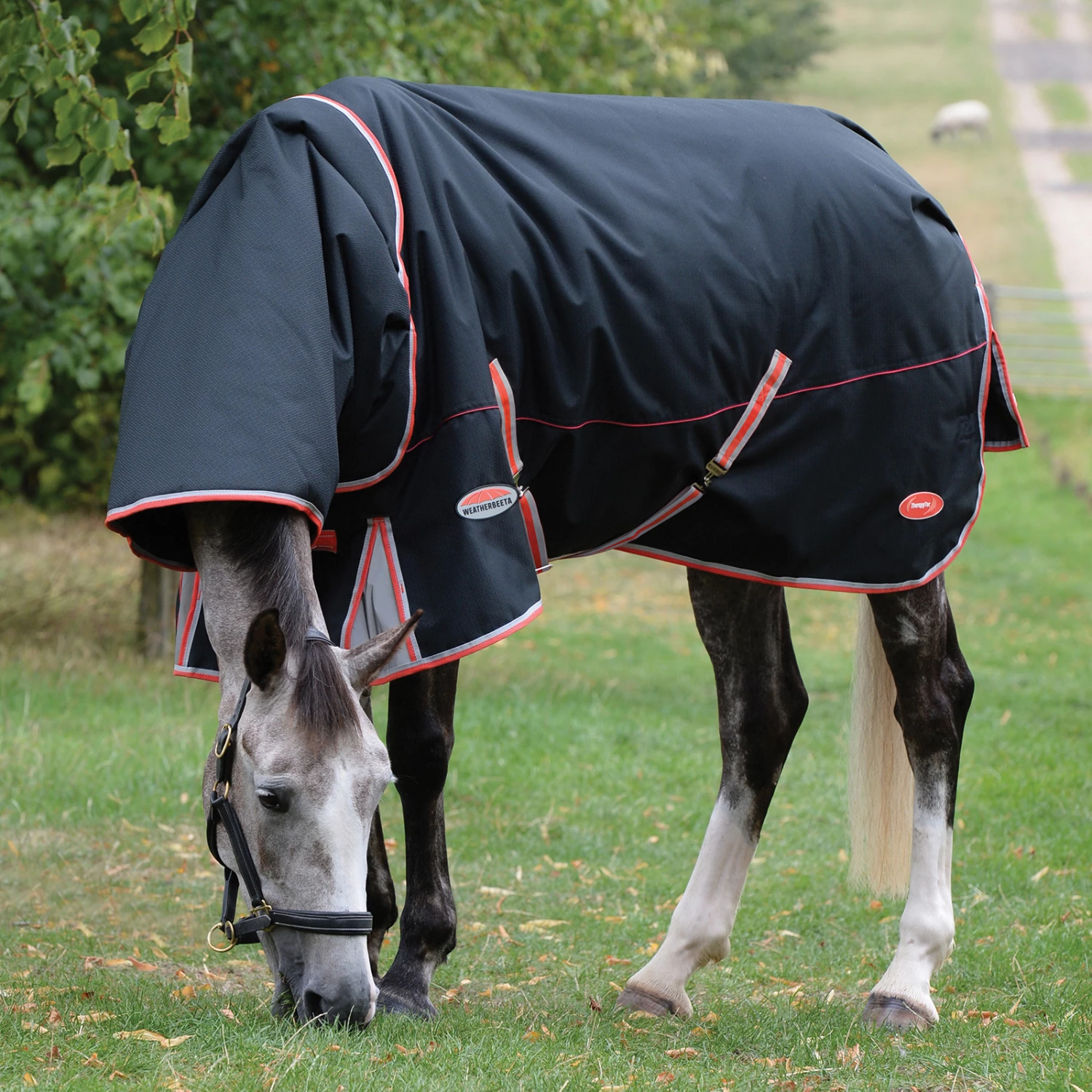 Weatherbeeta Comfitec Premier Therapy-Tec Therapiedecke Inkl Abnehmbarem Halsteil, 220g 4 Weatherbeeta Comfitec Premier Therapy-Tec Therapiedecke Inkl Abnehmbarem Halsteil, 220g – Bild 2