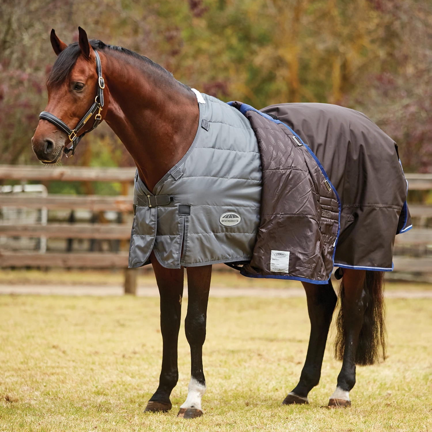 Weatherbeeta Comfitec Ultra Cozi II Weidedecke Inkl. Abnehmbarem Halsteil, 100g 4 Weatherbeeta Comfitec Ultra Cozi II Weidedecke Inkl. Abnehmbarem Halsteil, 100g – Bild 2