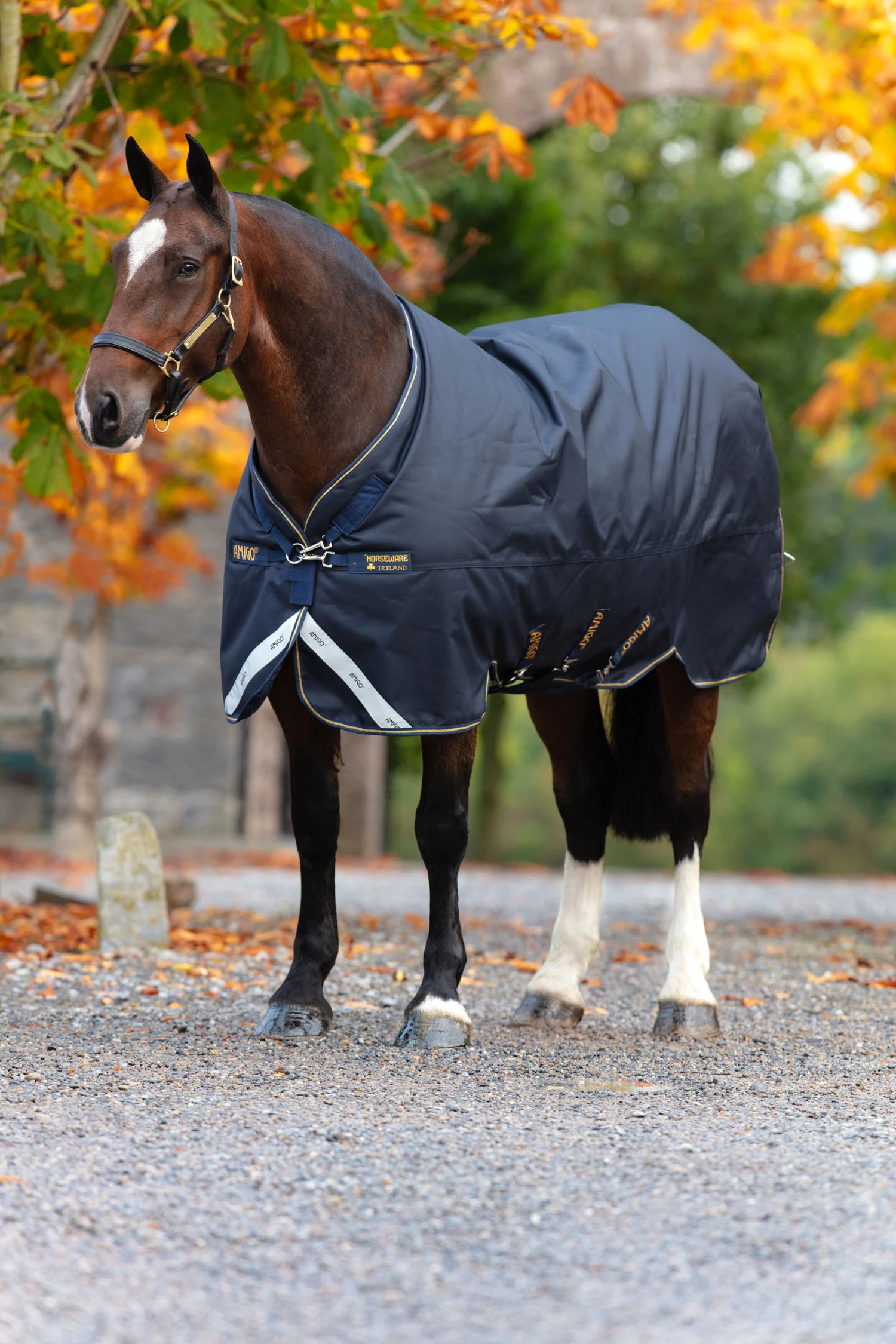 Horseware Amigo Bravo 12 XL Weidedecke, 250g 3 Horseware Amigo Bravo 12 XL Weidedecke, 250g