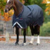 Horseware Amigo Bravo 12 XL Weidedecke, 0g 2 Horseware Amigo Bravo 12 XL Weidedecke, 0g -Weatherbeeta Shop 335983 DB DB RE 2