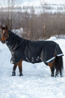 Horseware Amigo Super Bravo Plus Weidedecke Inkl. Abnehmbarem Halsteil, 250g