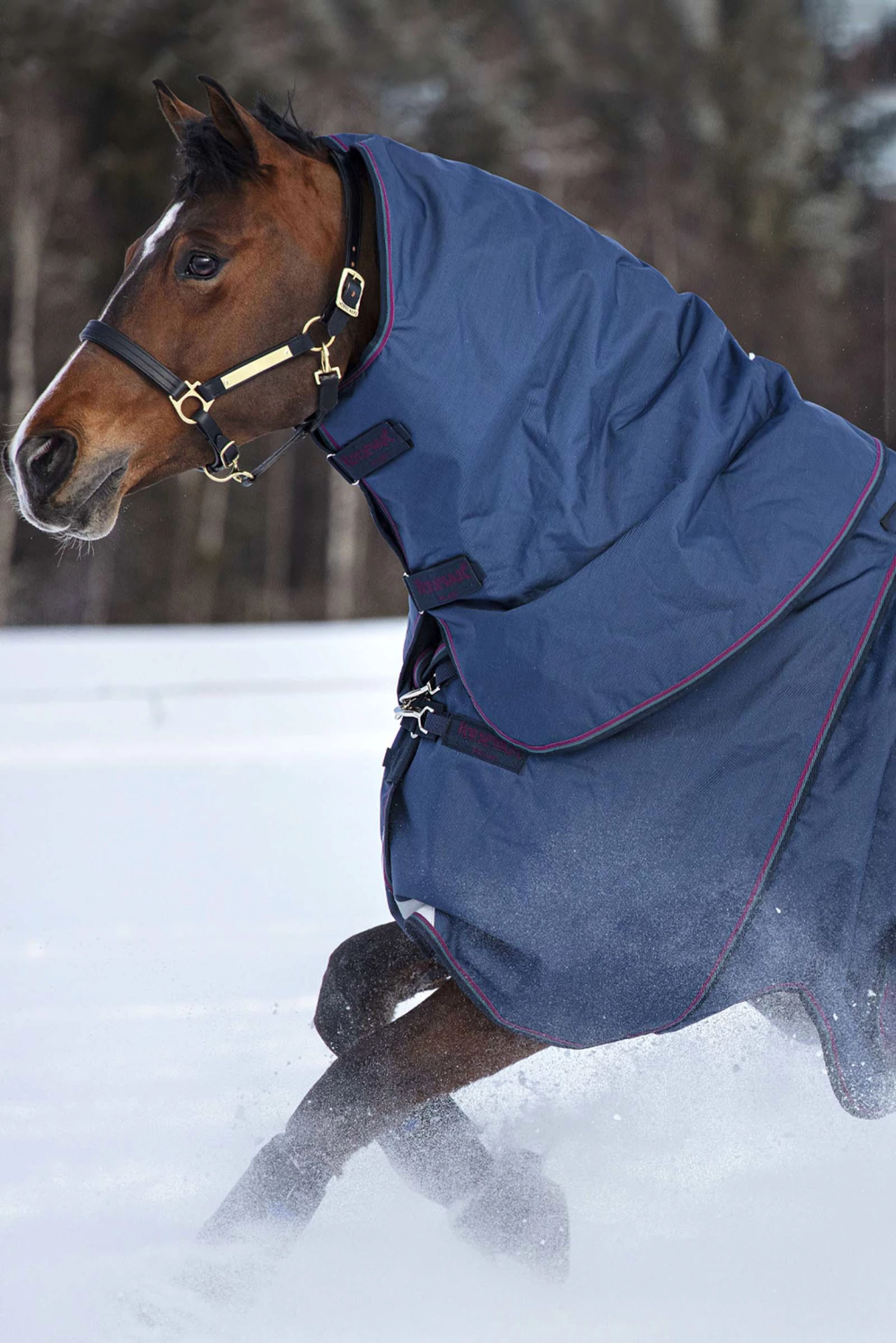 Horseware Rambo Optimo Halsteil, 0g 4 Horseware Rambo Optimo Halsteil, 0g – Bild 2