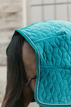 Kentucky Horsewear Velvet Turnierdecke, 160g -Weatherbeeta Shop 336617 EGR 5