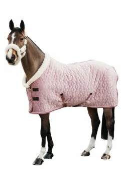 Kentucky Horsewear Velvet Turnierdecke, 160g -Weatherbeeta Shop 336617 RRPI 3