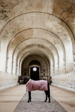 Kentucky Horsewear Velvet Turnierdecke, 160g -Weatherbeeta Shop 336617 RRPI 4