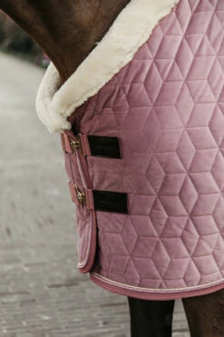 Kentucky Horsewear Velvet Turnierdecke, 160g -Weatherbeeta Shop 336617 RRPI 5