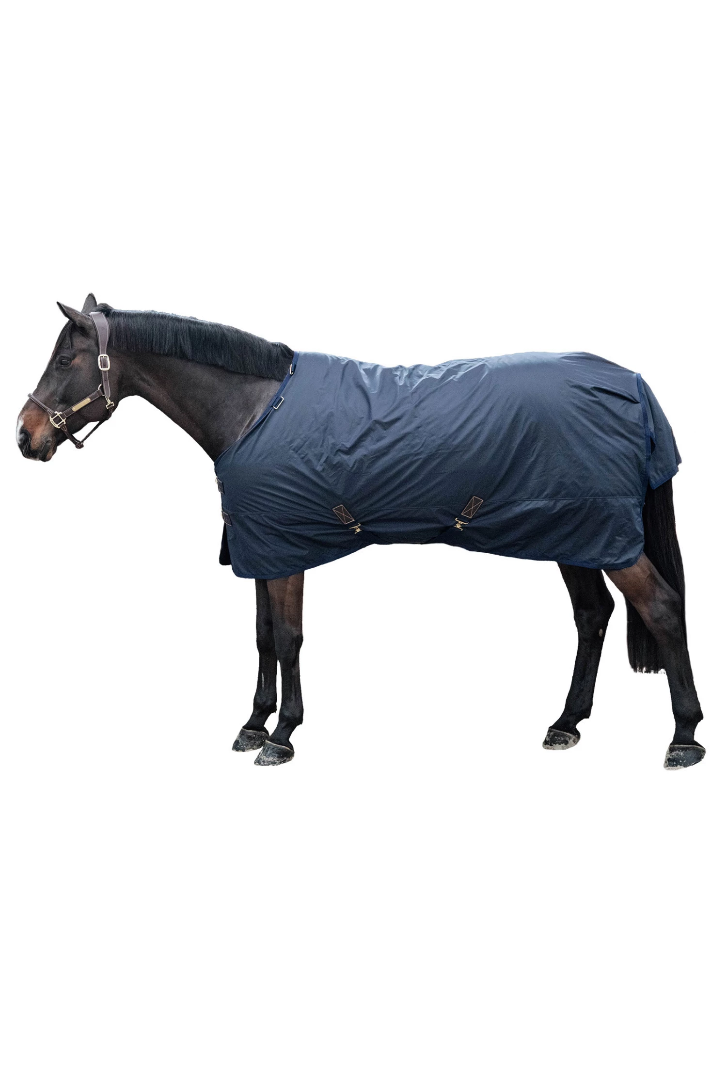 Kentucky Horsewear All Weather Hurricane Weidedecke, 0g 4 Kentucky Horsewear All Weather Hurricane Weidedecke, 0g – Bild 2