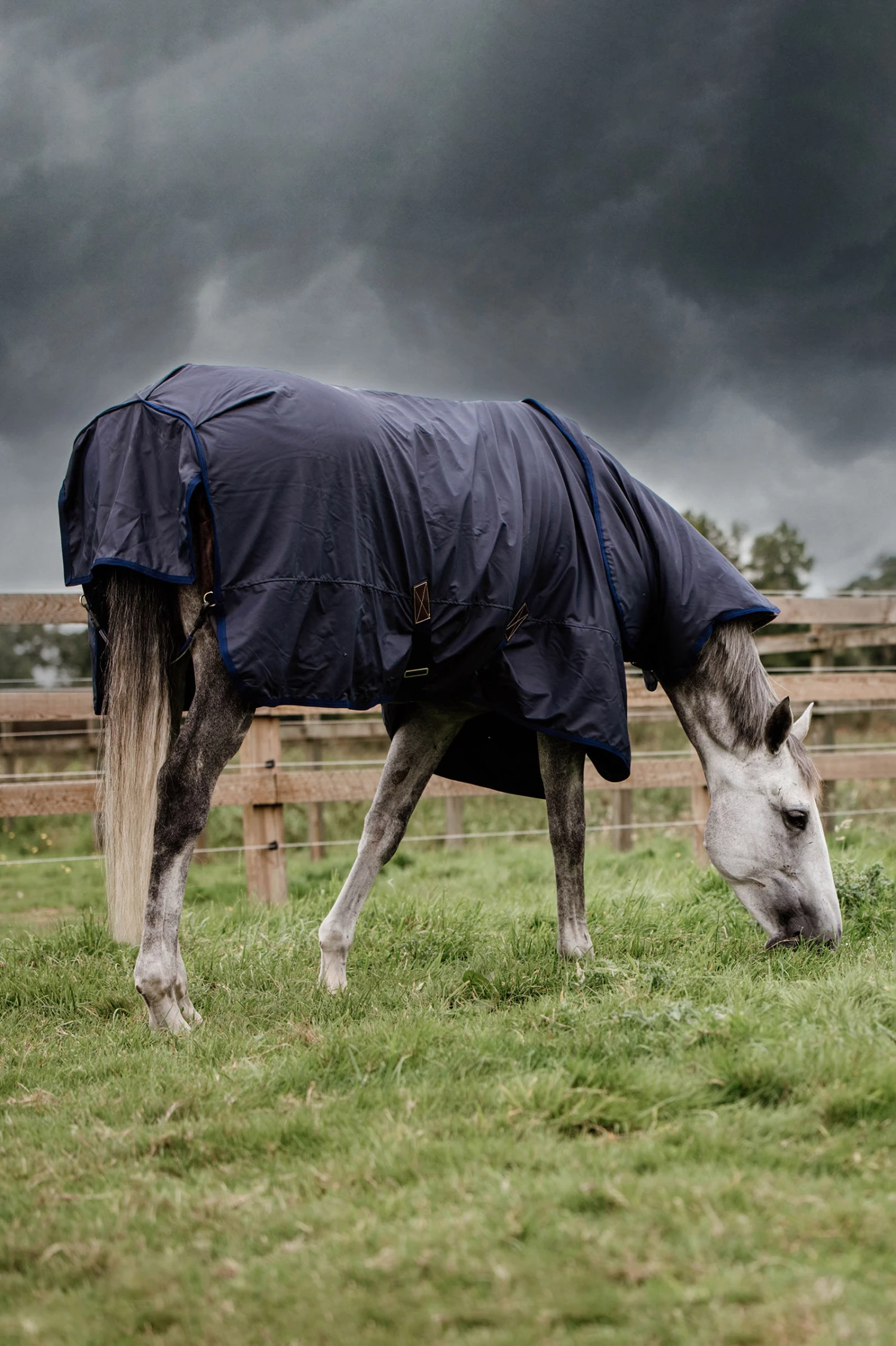 Kentucky Horsewear All Weather Hurricane Weidedecke, 50g 3 Kentucky Horsewear All Weather Hurricane Weidedecke, 50g