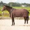 Harry's Horse Highliner Stalldecke, 200g -Weatherbeeta Shop 336761 BRBR 1
