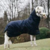 Kentucky Horsewear Pony All Weather Classic Weidedecke, 0g 2 Kentucky Horsewear Pony All Weather Classic Weidedecke, 0g -Weatherbeeta Shop 336885 DB 1