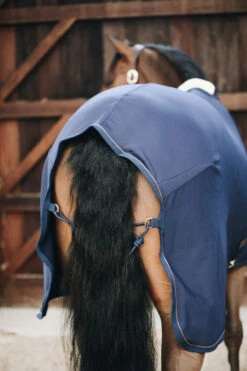 Kentucky Horsewear Tiny Fleece Abschwitzdecke 13 Kentucky Horsewear Tiny Fleece Abschwitzdecke -Weatherbeeta Shop 336888 DB 6