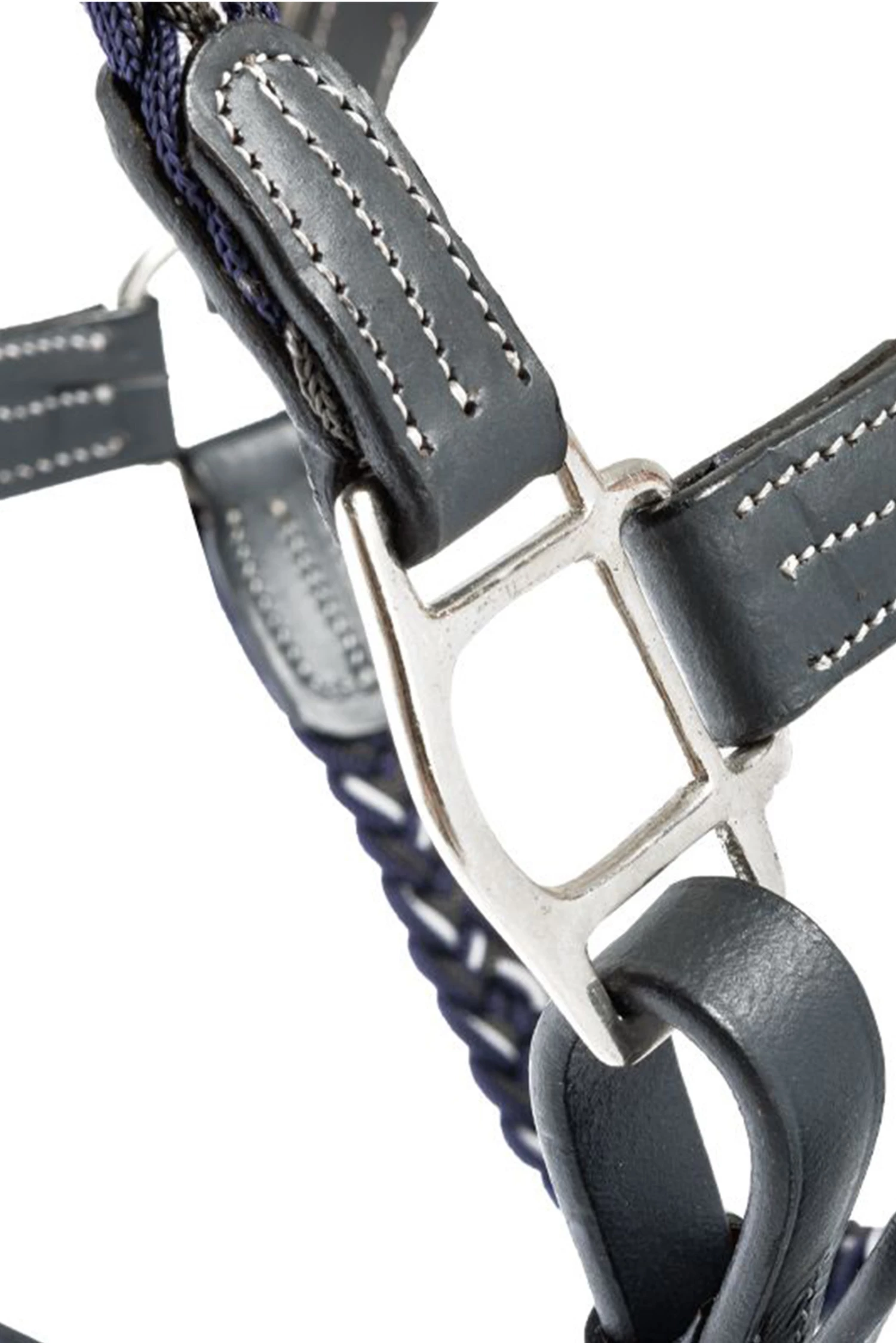 Kavalkade Tessa Flechthalfter 4 Kavalkade Tessa Flechthalfter – Bild 2