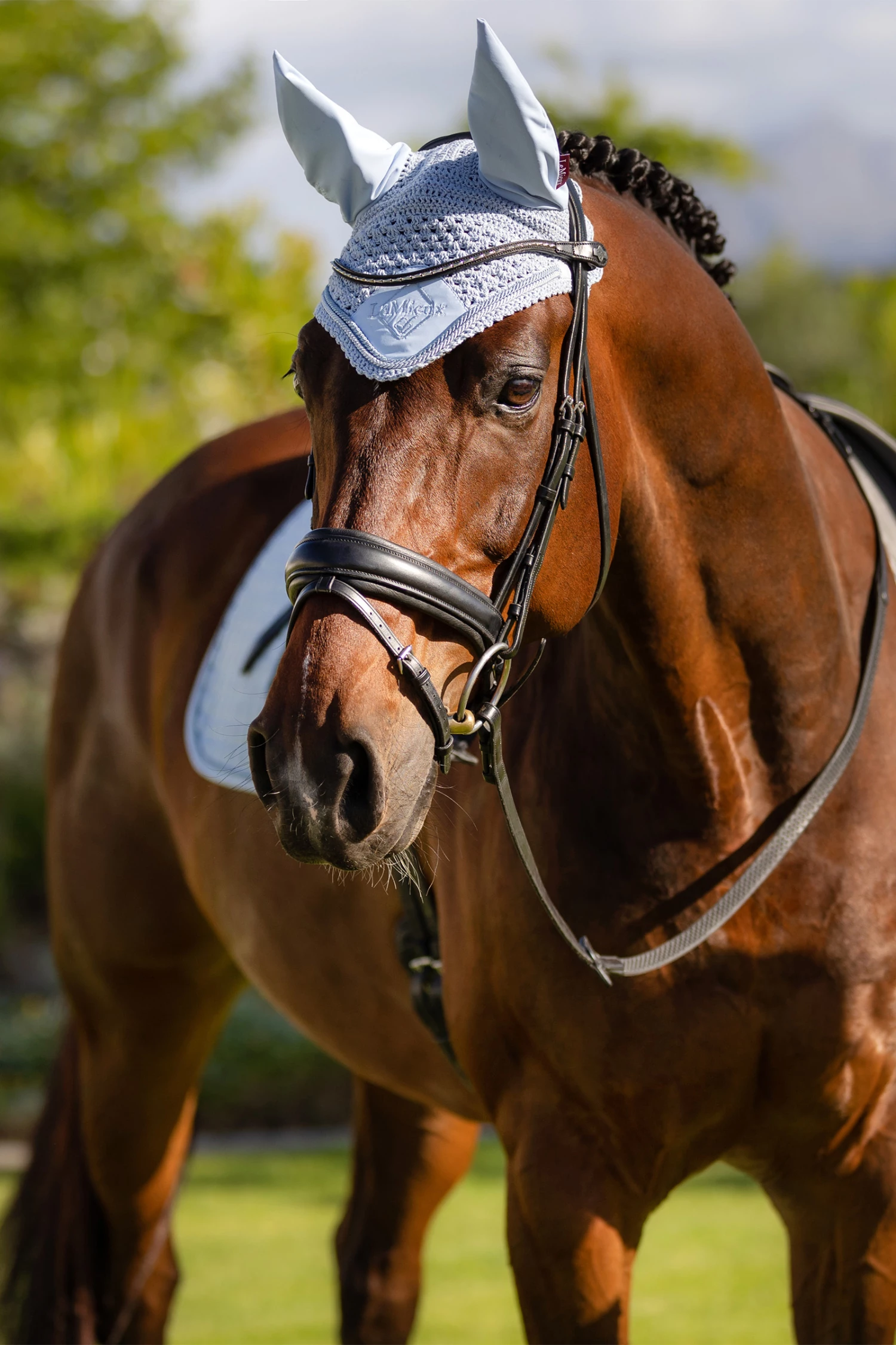 LeMieux Classic Fliegenohren 18 LeMieux Classic Fliegenohren – Bild 16