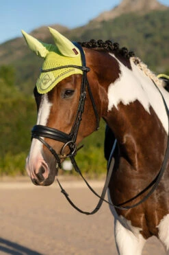 LeMieux Classic Fliegenohren 39 LeMieux Classic Fliegenohren -Weatherbeeta Shop 338077 SLGR 02