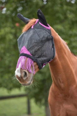 Weatherbeeta Comfitec Deluxe Durable Mesh Maske Mit Ohren Und Fransen