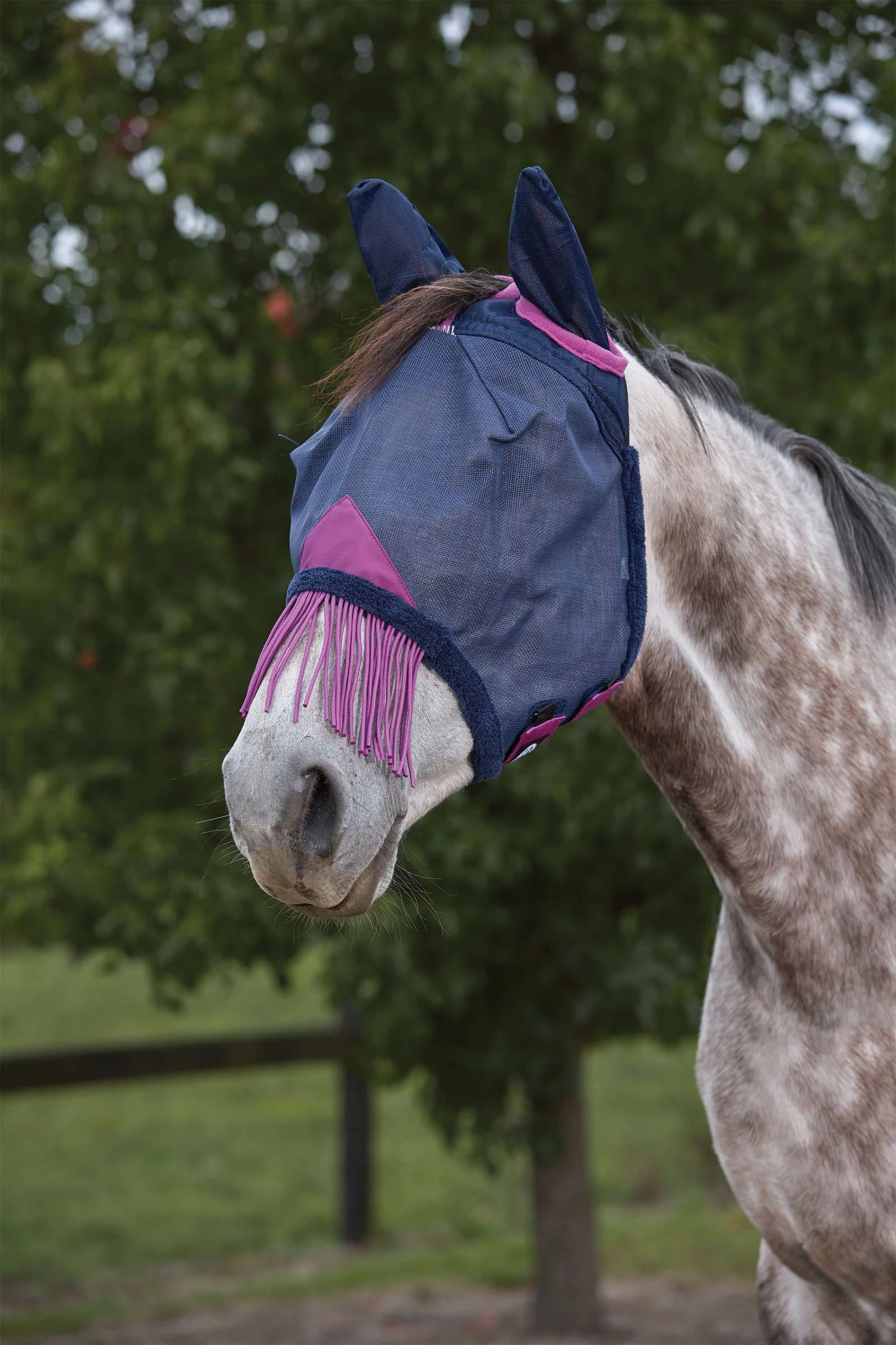 Weatherbeeta Comfitec Deluxe Durable Mesh Maske Mit Ohren Und Fransen 4 Weatherbeeta Comfitec Deluxe Durable Mesh Maske Mit Ohren Und Fransen – Bild 2