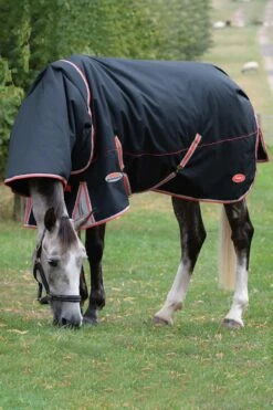 Weatherbeeta Comfitec Premier Mit Therapy-Tec Inkl. Anbehmbarem Halsteil, 50g