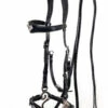 F.R.A. Imperial Hackamore Zaum -Weatherbeeta Shop 340176 BL 1