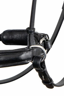 F.R.A. Alizée Mistral Gebissloser Zaum 16 F.R.A. Alizée Mistral Gebissloser Zaum -Weatherbeeta Shop 340183 BL BL 3