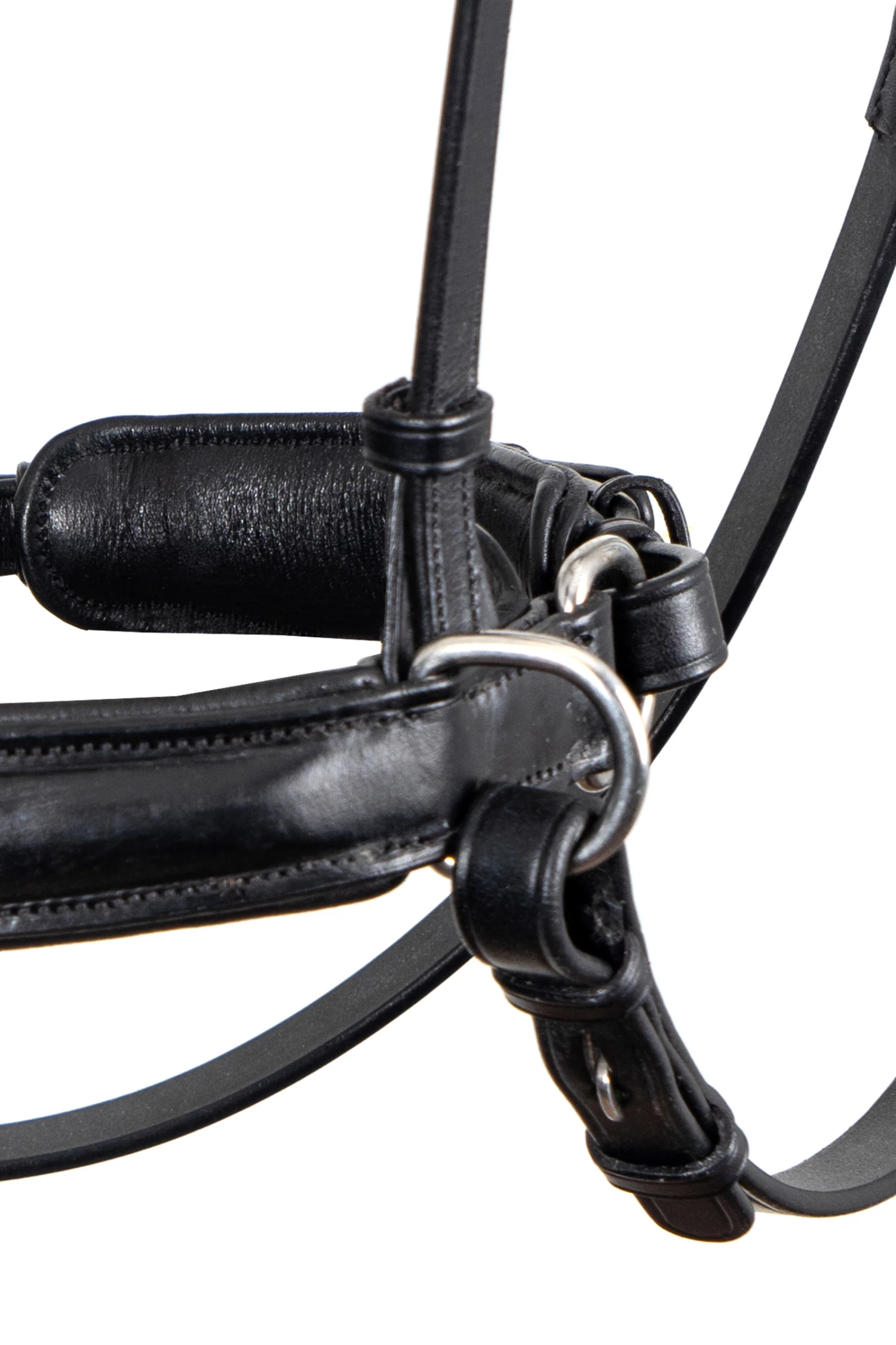 F.R.A. Alizée Mistral Gebissloser Zaum 5 F.R.A. Alizée Mistral Gebissloser Zaum – Bild 3