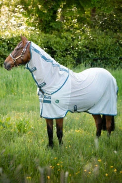 Horseware AmEco Bug Rug Fliegendecke 8 Horseware AmEco Bug Rug Fliegendecke -Weatherbeeta Shop 340202 SI EB 2