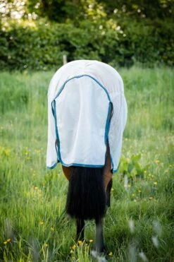 Horseware AmEco Bug Rug Fliegendecke 9 Horseware AmEco Bug Rug Fliegendecke -Weatherbeeta Shop 340202 SI EB 3