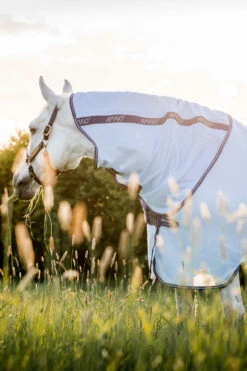 Horseware Amigo XL Bug Rug Fliegendecke 9 Horseware Amigo XL Bug Rug Fliegendecke -Weatherbeeta Shop 340203 ABB DB 2