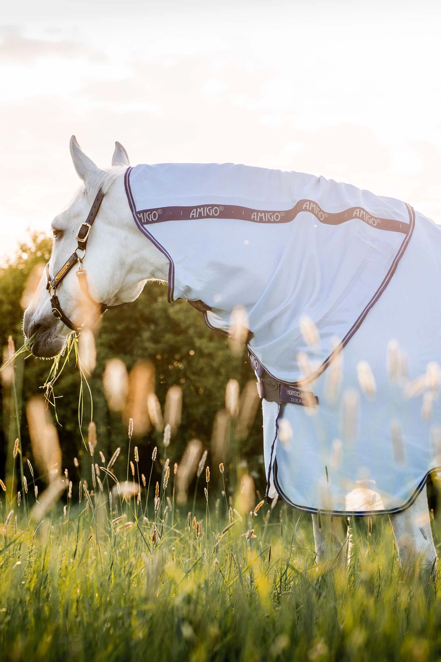 Horseware Amigo XL Bug Rug Fliegendecke 4 Horseware Amigo XL Bug Rug Fliegendecke – Bild 2