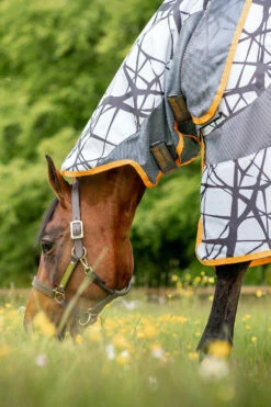 Horseware Amigo 3-in-1 CamoFly Fliegendecke 9 Horseware Amigo 3-in-1 CamoFly Fliegendecke -Weatherbeeta Shop 340221 G OR 2