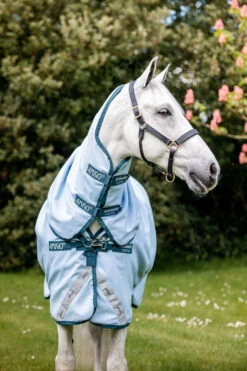 Horseware Amigo Plant Dye Weidedecke, 50g 10 Horseware Amigo Plant Dye Weidedecke, 50g -Weatherbeeta Shop 340224 B DB 3