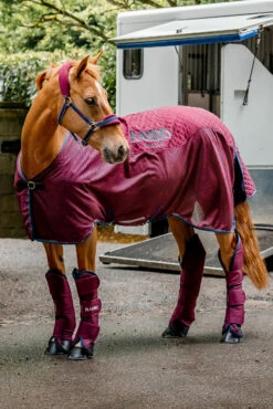 Horseware Rambo Travel Series Transportdecke, 50g 21 Horseware Rambo Travel Series Transportdecke, 50g -Weatherbeeta Shop 340250 BU BU TLB 01